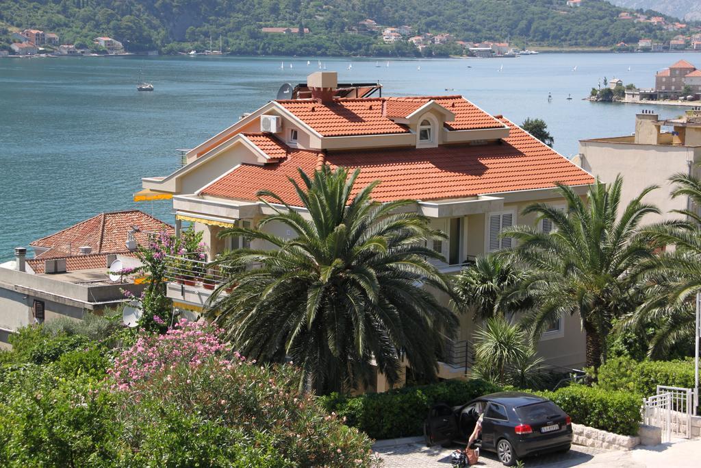 Palma Cattaro
